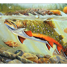 Схема вышивки «Рыба.»