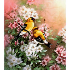 Схема вышивки «птицы»