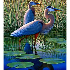 Схема вышивки «цапли»