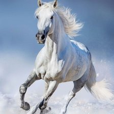 Схема вышивки «лошадь»