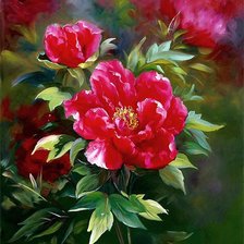 Пионы красные.