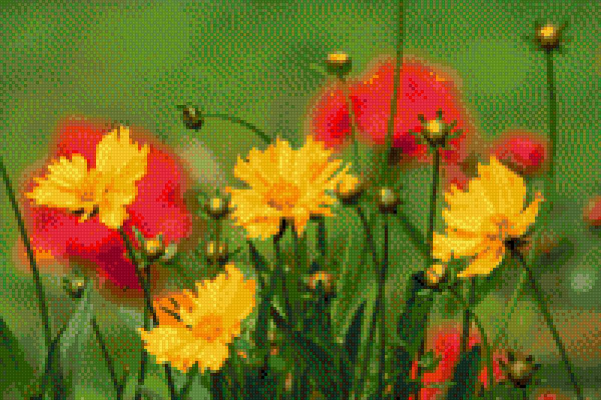 Цветы желтые. - цветы желтые. - предпросмотр