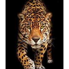 Схема вышивки «Леопард.»