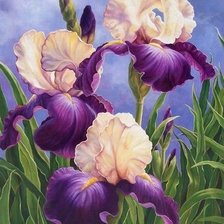 Схема вышивки «цветы»