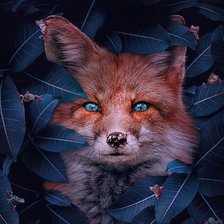 Схема вышивки «№2059222»