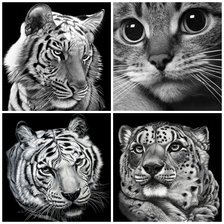 Схема вышивки «кошки»