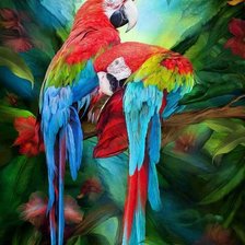 Схема вышивки «AVES CRIOLLAS»