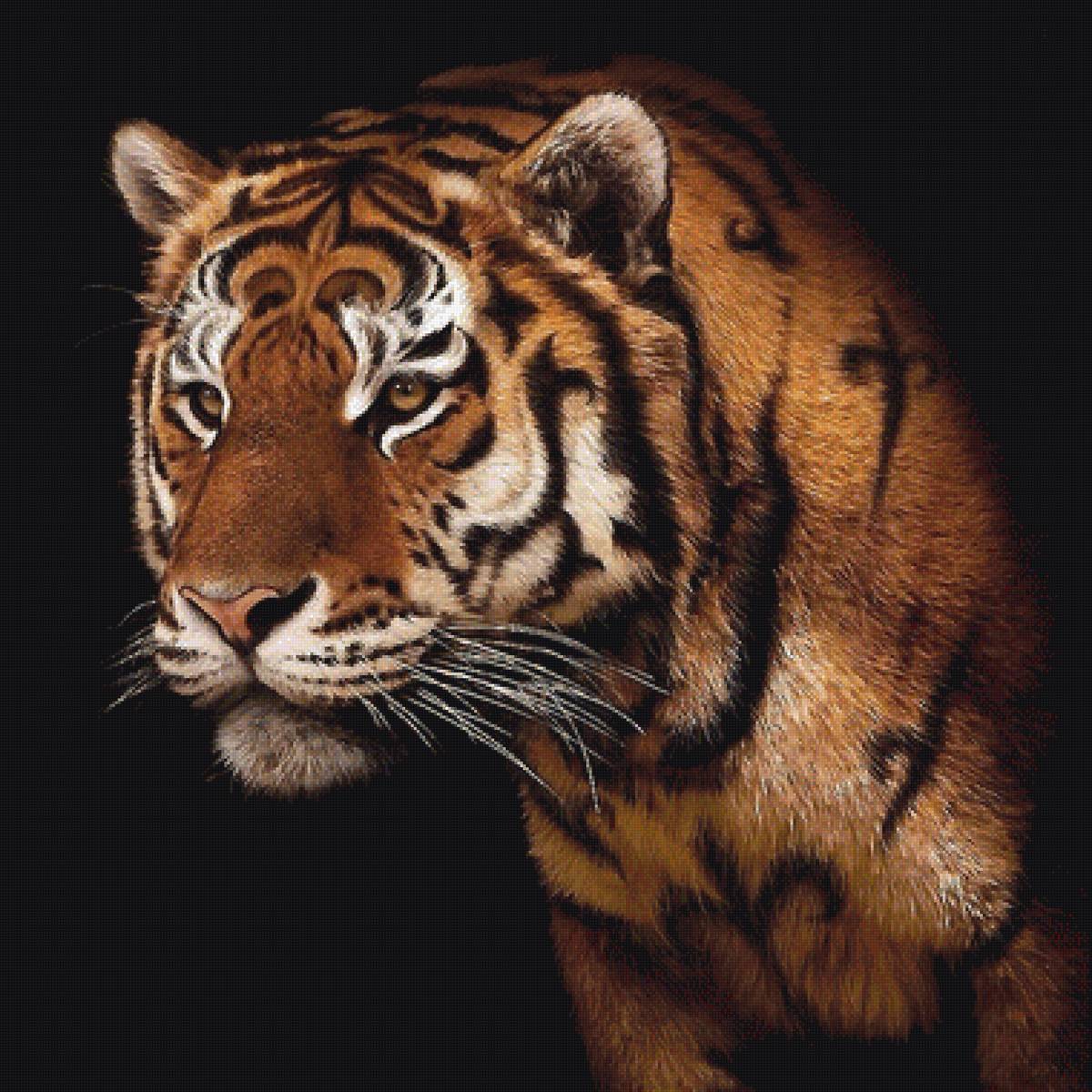 №2059426 - предпросмотр