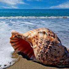 Схема вышивки «море»