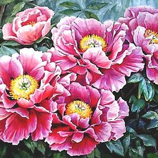 Схема вышивки «№2059487»