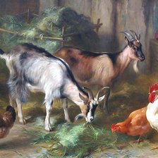 Схема вышивки «№2059490»