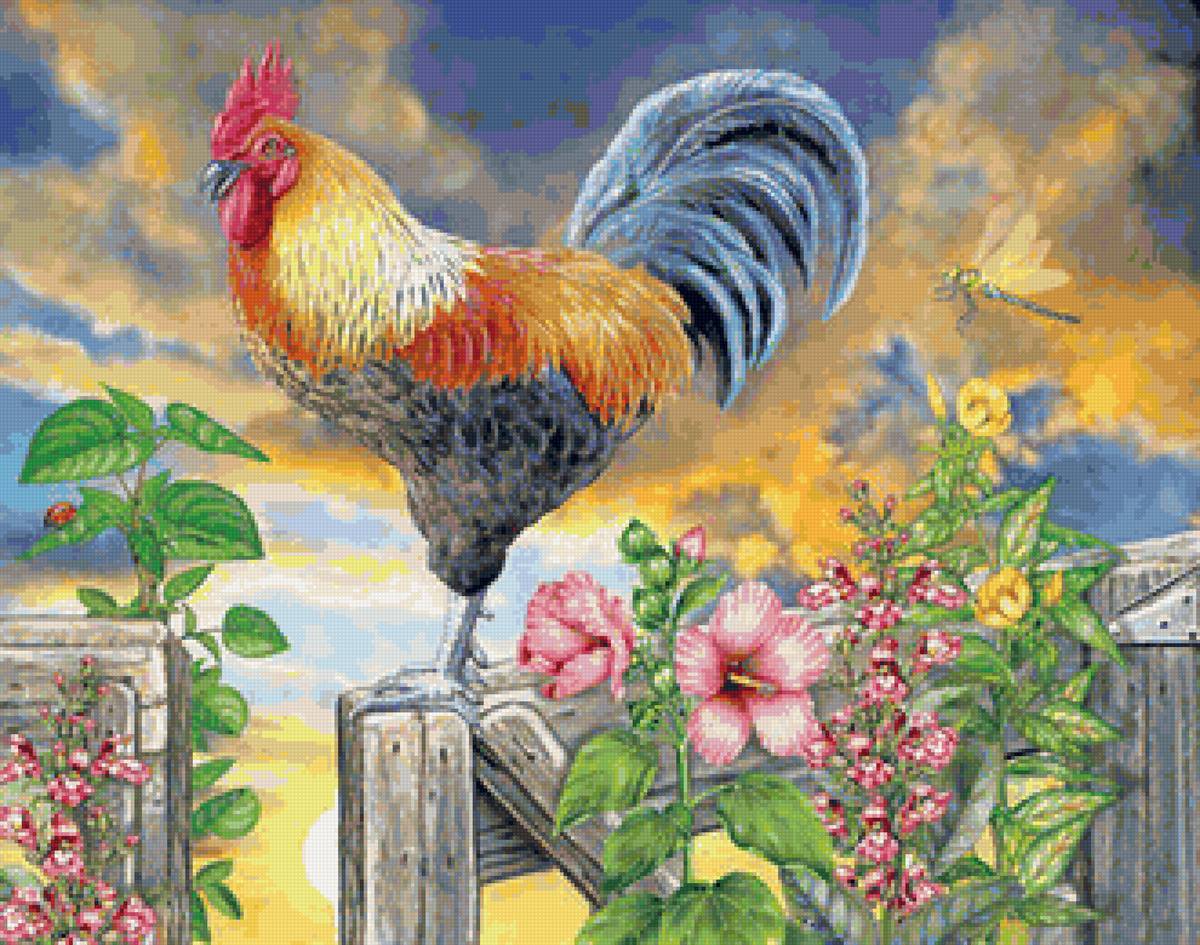 Петушок-золотой гребешок - птицы, лето, петух - предпросмотр