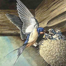 Схема вышивки «Ласточкино гнездо»