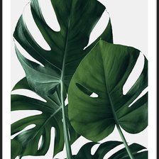 Схема вышивки «лист монстеры»