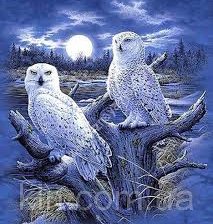 Схема вышивки «Полярные совы»