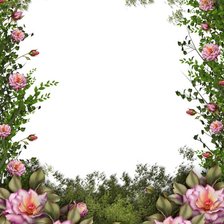 Схема вышивки «ШТОРА-1»