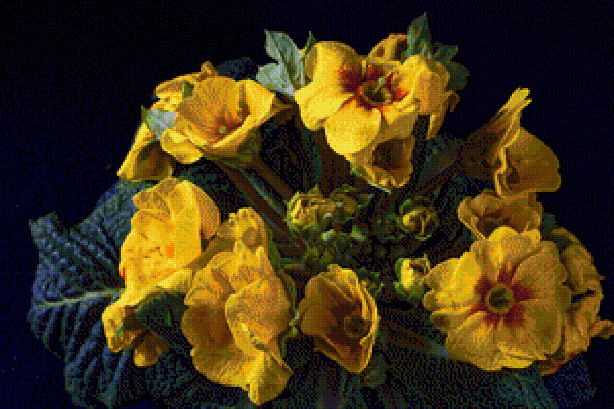 Примула желтая. - цветы. - предпросмотр