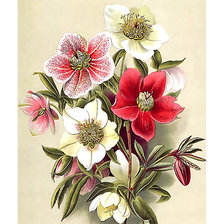 Схема вышивки «№2059967»