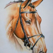 Схема вышивки «CABALLO»