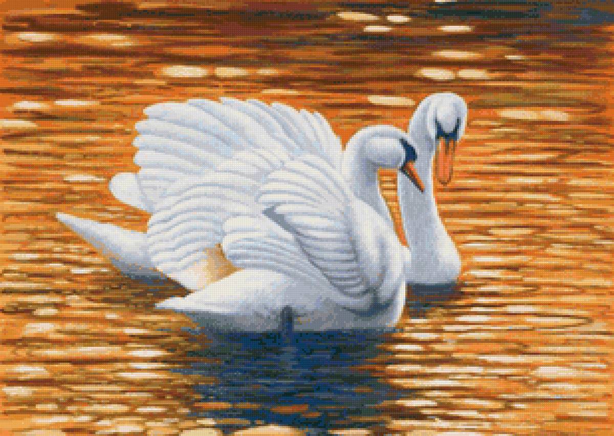 Лебединая пара - лебеди, вода, птицы - предпросмотр