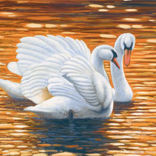 Схема вышивки «Лебединая пара»