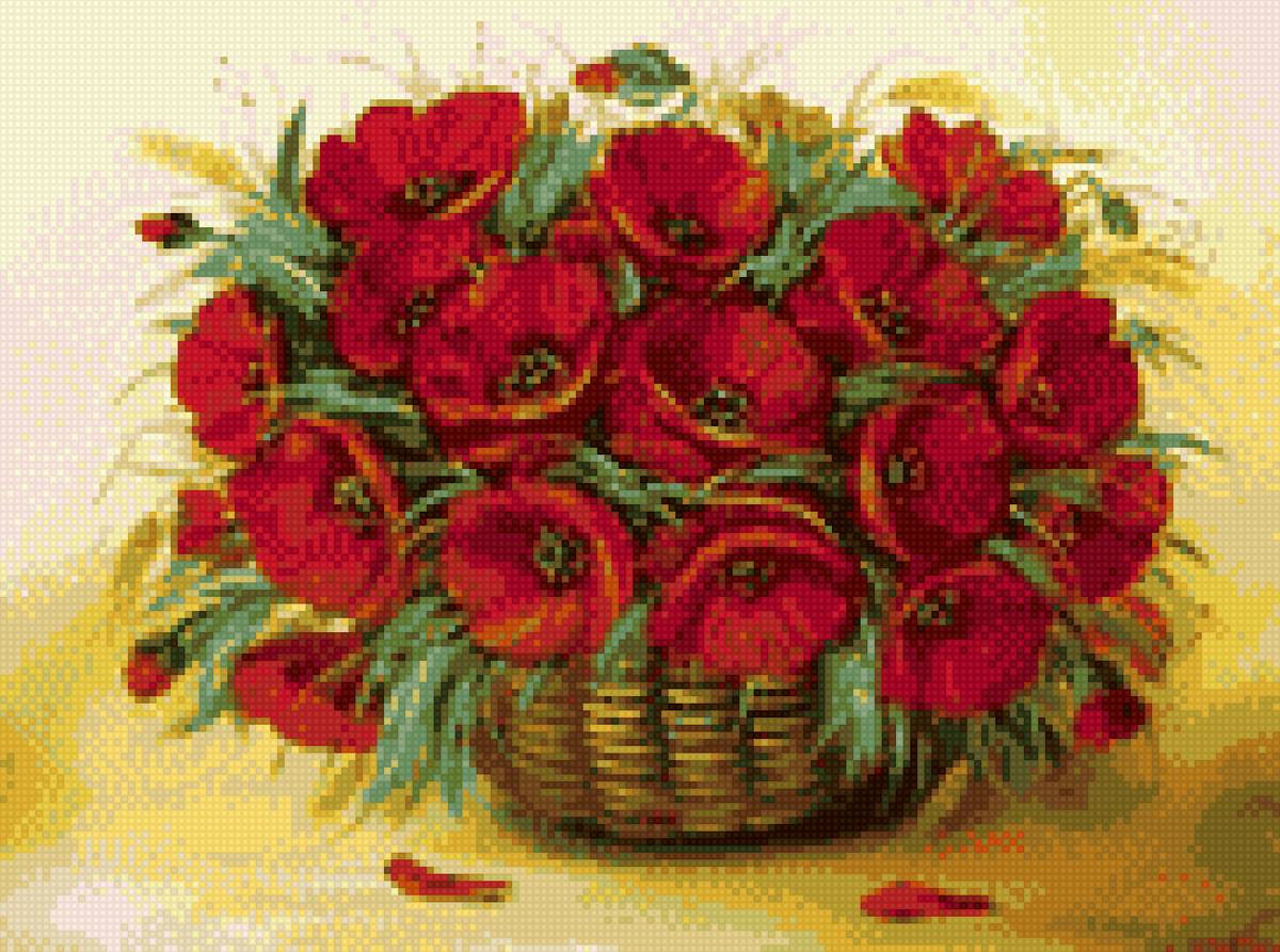 корзинка с маками - маки, букет маков - предпросмотр