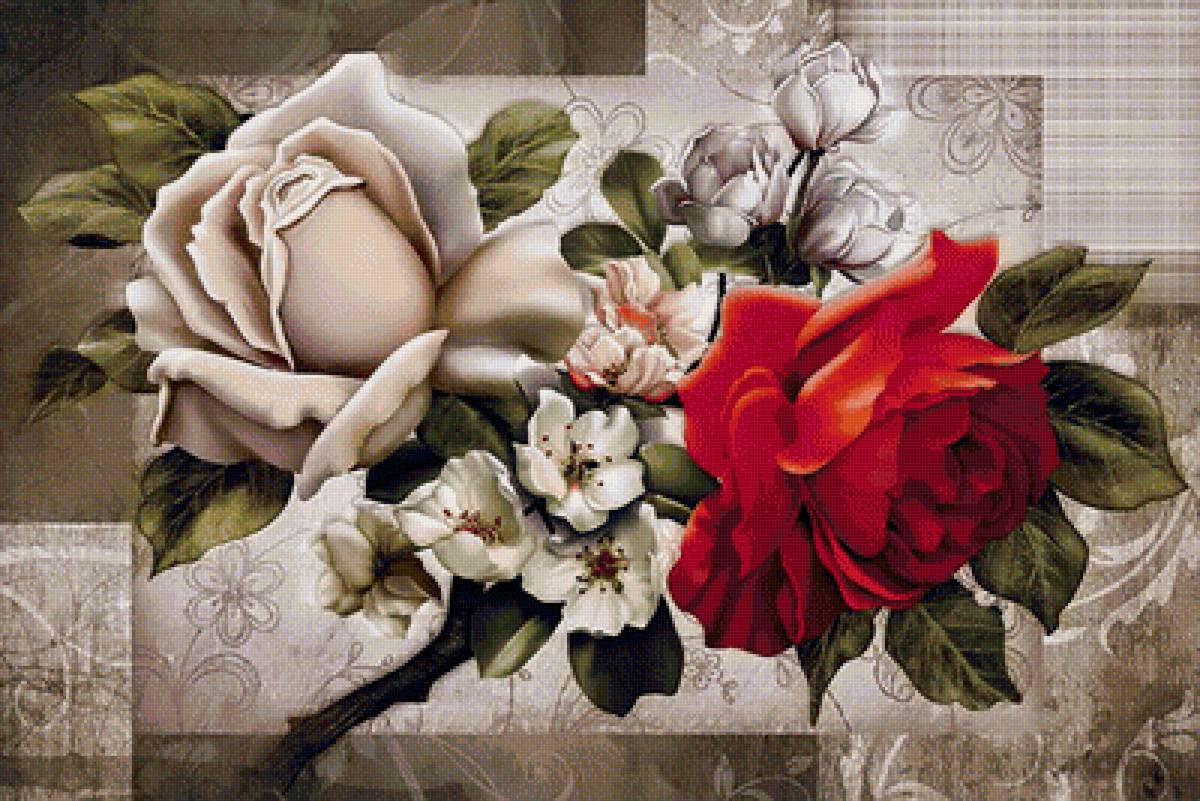 Розы - цветы - предпросмотр