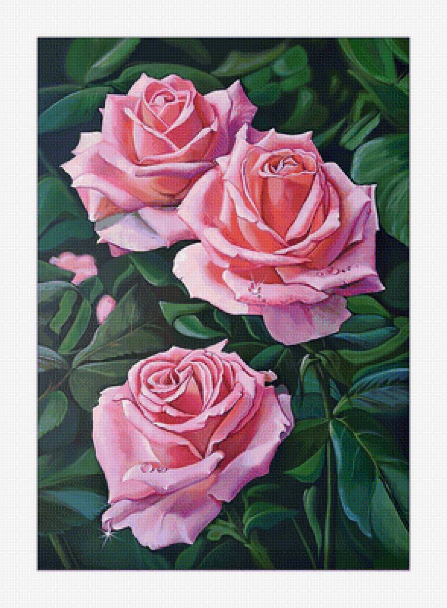 Розы. - букет, розы, цветы, живопись - предпросмотр