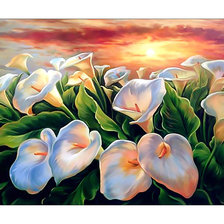 Схема вышивки «Каллы.»