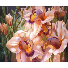 Схема вышивки «Орхидеи.»