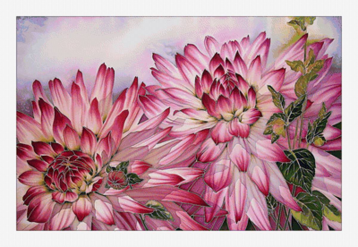 Георгины. - букет, георгины, цветы - предпросмотр