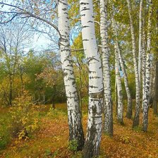 Схема вышивки «пейзаж»