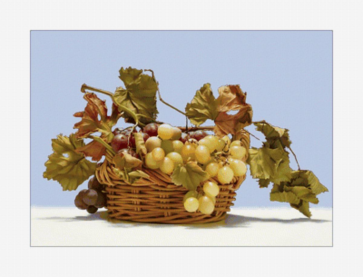 Виноград. - виноград, ягоды - предпросмотр