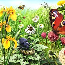 Схема вышивки «№2060411»