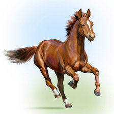 Схема вышивки «№2060455»