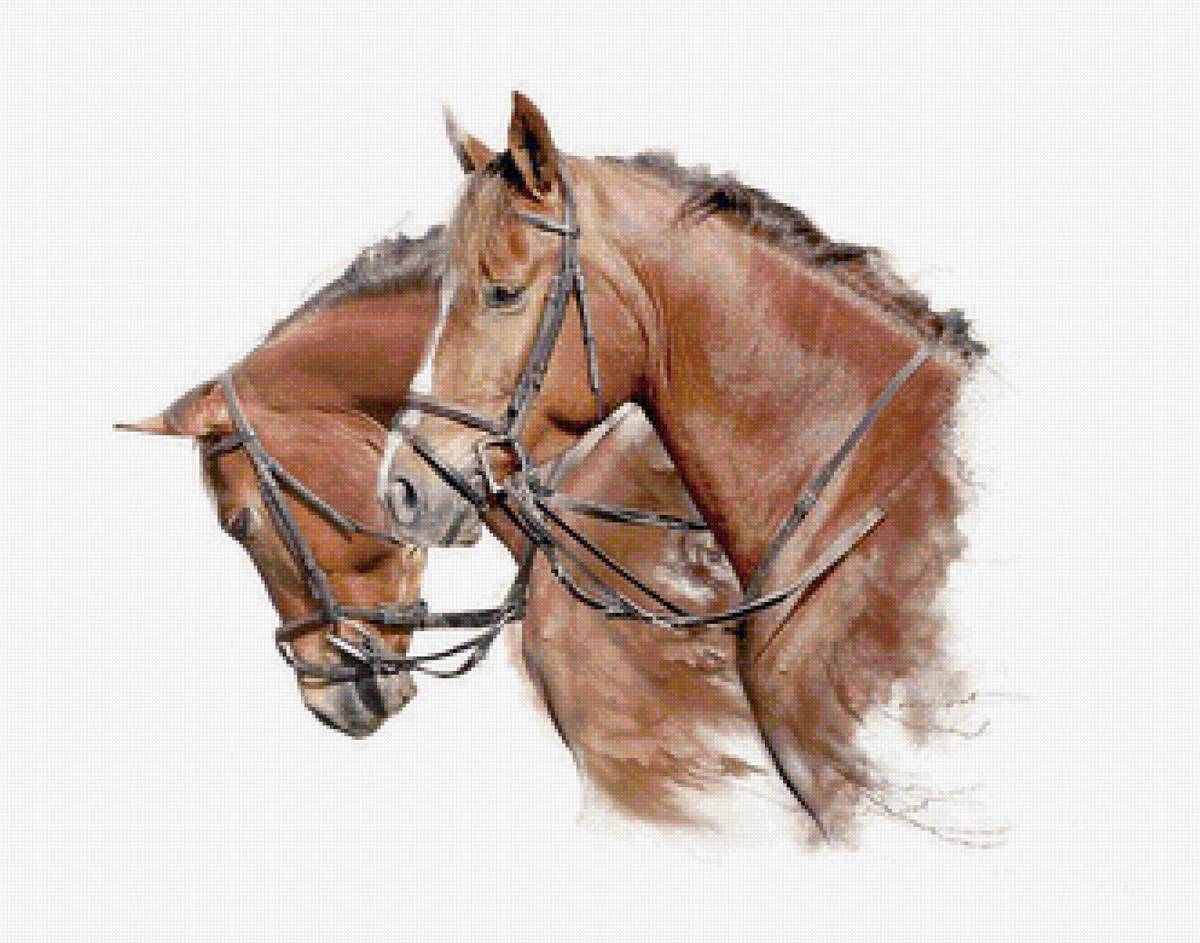 Пара гнедых - лошади, животные - предпросмотр