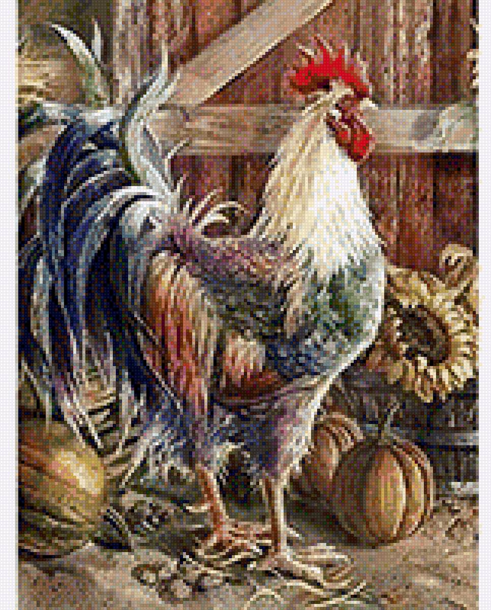 Петух и гарбузы - петух, птица. гарбуз, картинка, сарай - предпросмотр