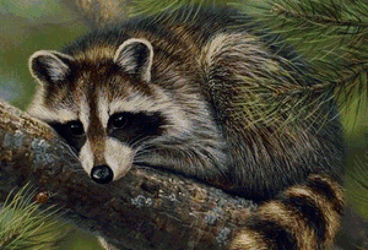 дикие - предпросмотр