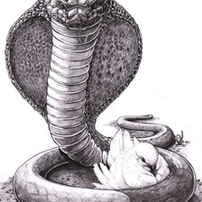 Схема вышивки «Змейка»