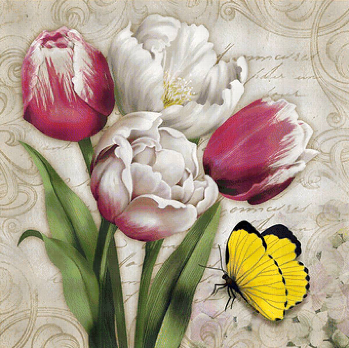 Тюльпаны - цветы, бабочки - предпросмотр