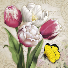 Тюльпаны