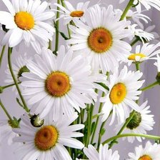 Схема вышивки «букет»