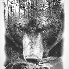 Схема вышивки «№2061027»