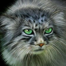 Схема вышивки «дикие»