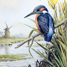 Схема вышивки «Зимородок»