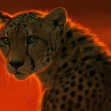 Схема вышивки «Гепард»