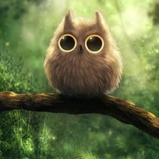 Owl