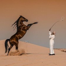 Схема вышивки «пустыня»