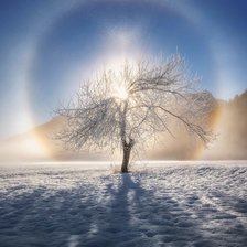 Схема вышивки «Сольнце»