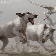 Схема вышивки «вперед»